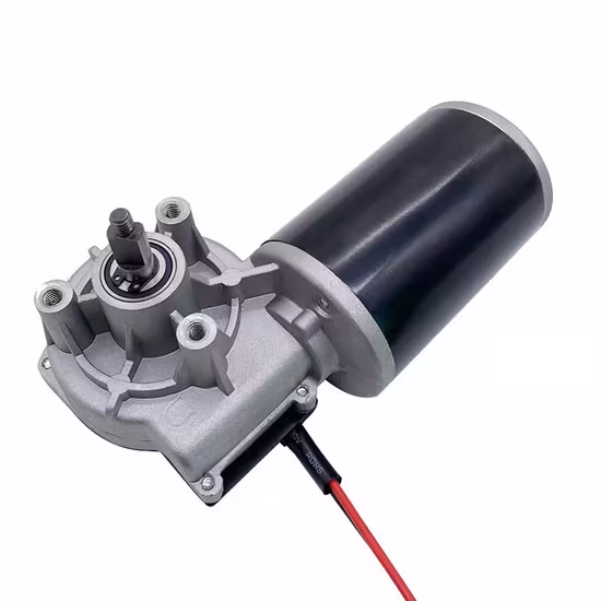 D49 D60 D63 12V 24V Electric DC Worm Gear Motor/Planetary Gear Motor for Lifting System/Wiper Motor