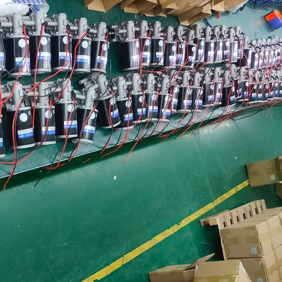 D49 D60 D63 12V 24V Electric DC Worm Gear Motor/Planetary Gear Motor for Lifting System/Wiper Motor