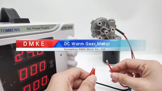 D49 D60 D63 12V 24V Electric DC Worm Gear Motor/Planetary Gear Motor for Lifting System/Wiper Motor