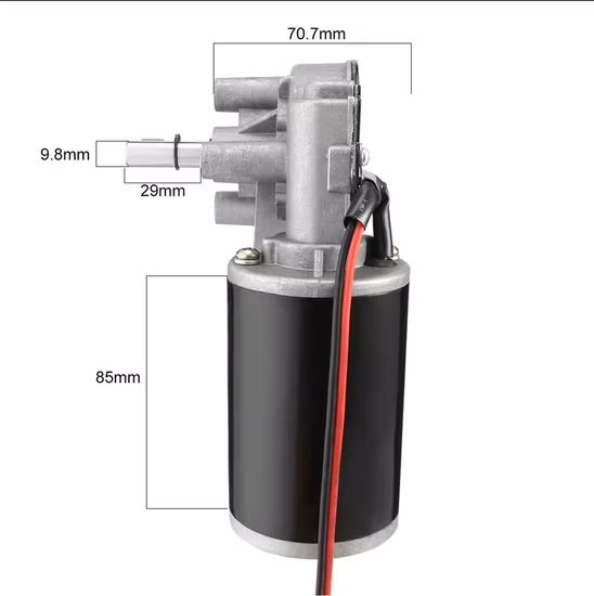 D49 D60 D63 12V 24V Electric DC Worm Gear Motor/Planetary Gear Motor for Lifting System/Wiper Motor