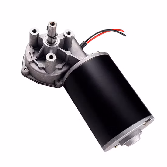 D49 D60 D63 12V 24V Electric DC Worm Gear Motor/Planetary Gear Motor for Lifting System/Wiper Motor
