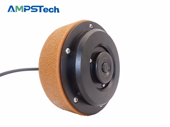 AMPS 5,5 Zoll 7nm 24VDC Elektrischer Radmotor Nabenservomotor IP67 Wasserdicht Anti