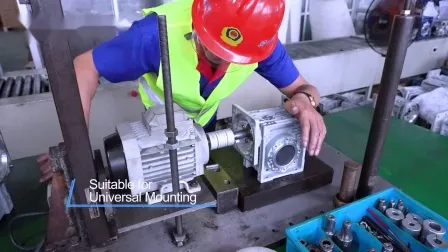 Schneckengetriebemotor der RV-Serie