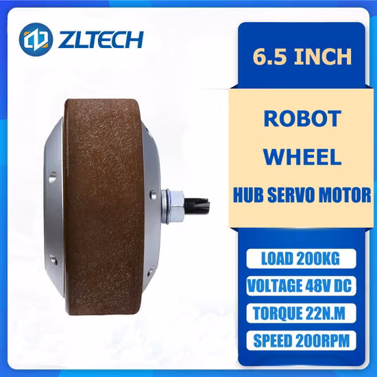  6,5 Zoll 500 W 22 n.  M 48V 200kg Last DC elektrischer bürstenloser AGV-Nabenmotor