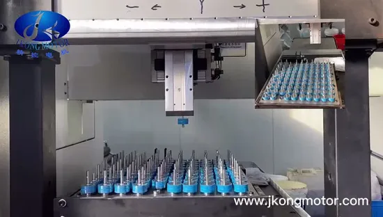 12V Mini DC AC Getriebe BLDC Bürstenlos gebürstet Universal Tischventilator Nabe Elektrofahrzeug Automotor für Roboter Kaffeemaschine Mixer Hygiene Faszien Massagepistole